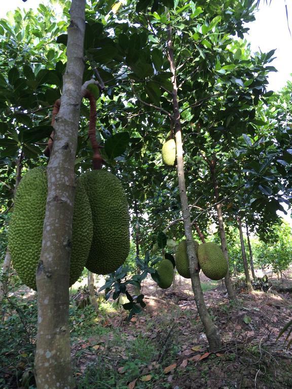 The Durian Lodge At Mekong ไก๋เบ ห้อง รูปภาพ